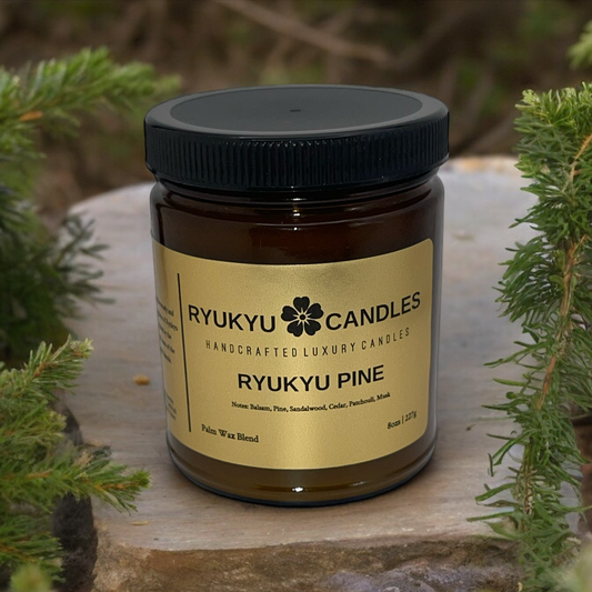 Ryukyu Pine